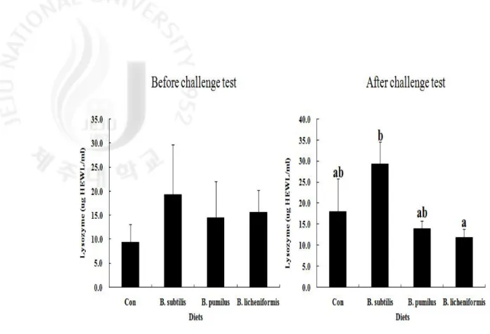 Figure  6.  Lysozyme  activity  of  olive  flounder  berfore  and  after  the  challenge  test.