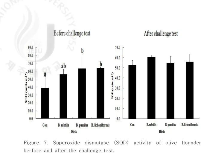 Figure  7.  Superoxide  dismutase  (SOD)  activity  of  olive  flounder  berfore  and  after  the  challenge  test.