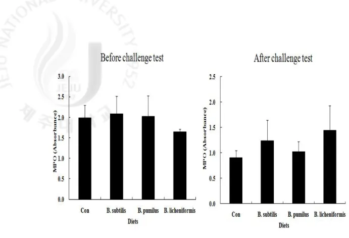 Figure  8.  Myeloperoxidase  (MPO)  activity  of  olive  flounder  berfore  and  after  the  challenge  test.