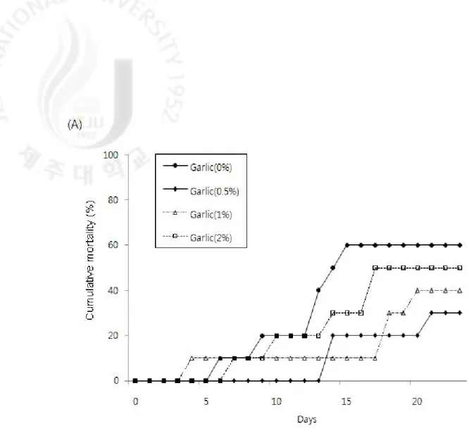 Fig  9.  Cumulative  morality  of  olive  flounder  fed  the  experimental  diets  containing  0%,  0.5%,  1%,  and  2%  of  fermentation  garlic  powder  after  challenge  with  (A)  VHSV by  intraperitoneal  injection