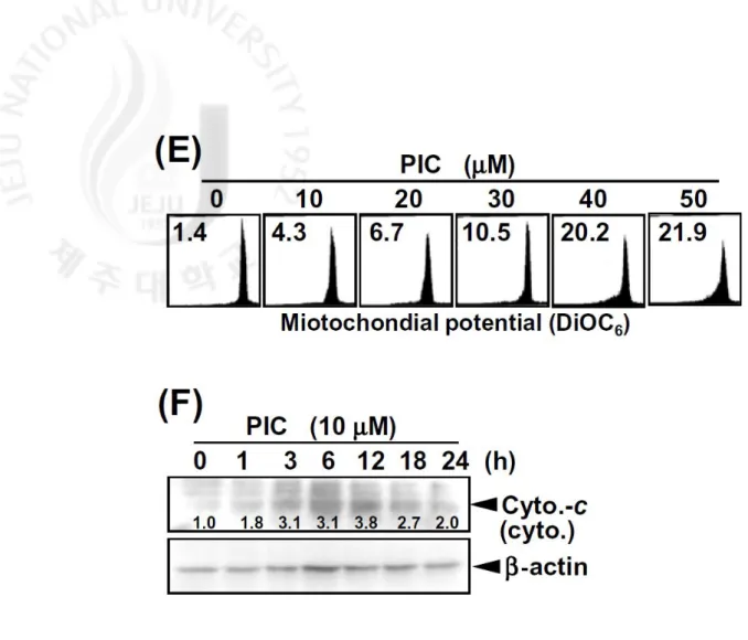 Fig. 1. PIC reduces a dose-dependent viability in THP-1 cells. Cells were seeded at 1 