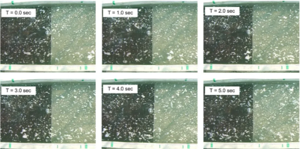 Fig.  8.  A  series  of  Images  with  Sway