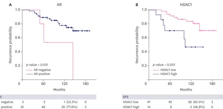 Figure 2. Recurrence-free survival comparing AR-negative group vs. AR-positive group, and HDAC1-low group vs