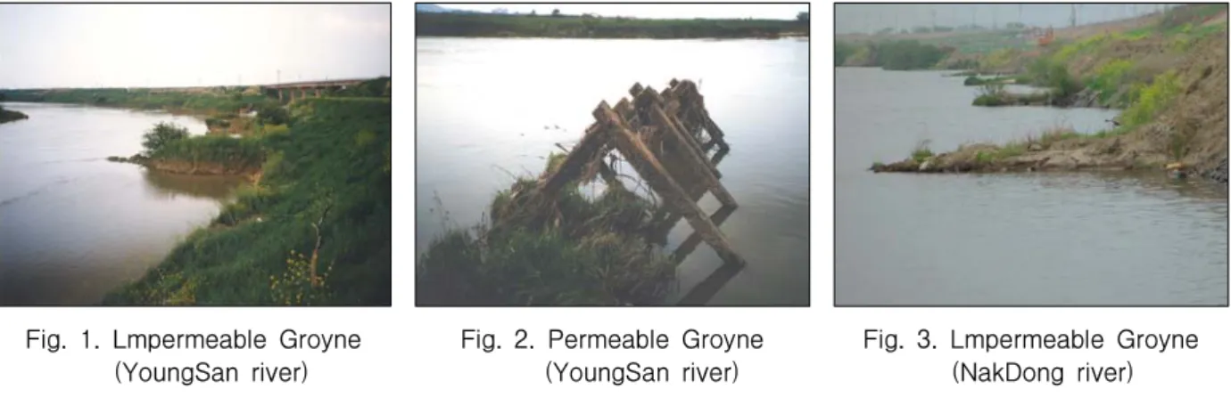 Fig.  1.  Lmpermeable  Groyne       (YoungSan  river)