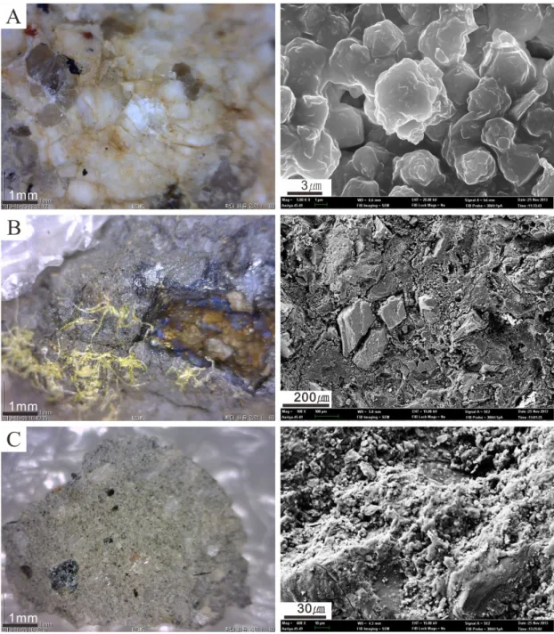 Figure 3. Microscope(Left) and SEM(Right) images of the samples. (A) BGY-01, (B) BGB-07, (C) BGR-11.조사 과정에서는 표면 조직을 관찰하고 분류하였다
