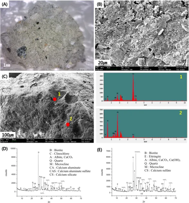 Figure 6. Analytical results of conservation treatment material. (A) Microscope image of BGM-04, (B) SEM image  of BGM-04, (C) SEM-EDS result of BGM-09, (D) XRD result of BGM-04, (E) XRD result of BGM-09.