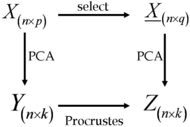 Fig.  1은  Procrustes  analysis의  절차를  나타낸  것으 로서  모든  변수를  가지고  있는  원래의  행렬을    × 라 고  할  때,  원래  변수의  성질을  최대한  반영하는  최소한