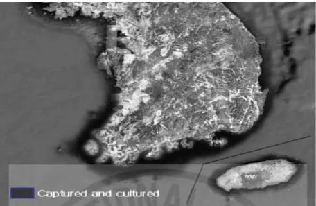 Fig.  1.  Juvenile  abalones  were  captured  and  cultured.