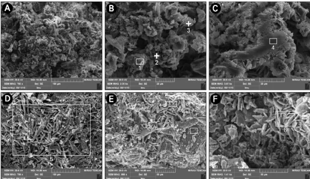 Figure 9. Representative scanning electron microphotographs showing of black surface contaminants of the Stupa.