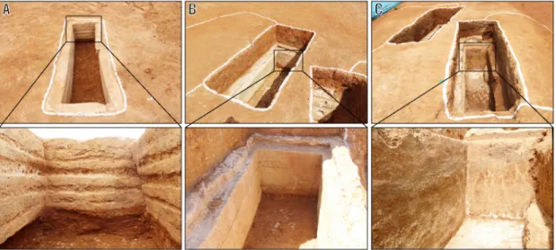 Figure 1. Field occurrences of representative lime-soil mixture on barrier tomb in the Gungri site