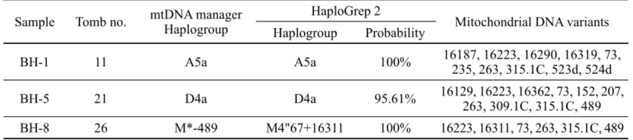 Table 2. Determined haplotype and haplogroup for each variants Sample Tomb no. mtDNA manager 