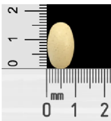 Fig.  1.  Gambihwan.
