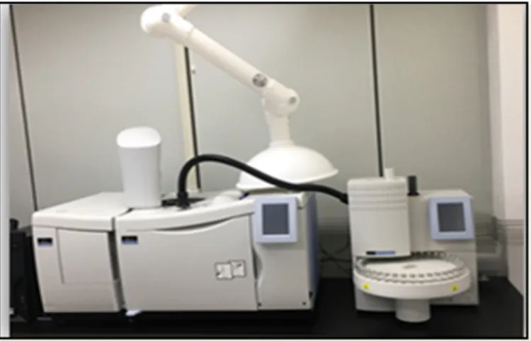 Figure 3. Gas Chromatograph equipped with Mass Selective Detector
