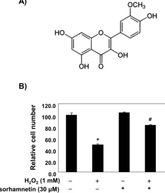 Fig. 1. Effects of isorhamnetin on H 2 O 2 -induced growth inhibition in  C2C12 myoblasts