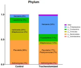 Fig.  3.  Average  phylum  distribution  of  airway  microbiota  of  the  tracheomized  and  the  non-tracheomized  patients