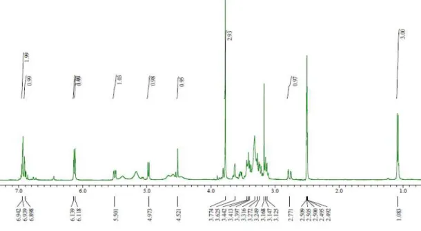 Figure  21.  13 C  NMR  spectrum  of  compound  5  (DMSO- d