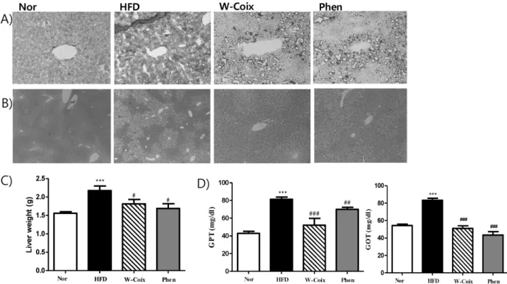 Fig. 3. Effect of W-Coix on morphology and function of liver in high fat induced obese mice