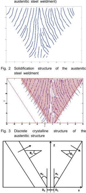 Fig.  2 Solidification structure of the austenitic  steel weldment