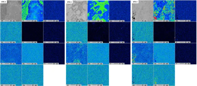Figure 13. EPMA mapping image of STE-2~4.
