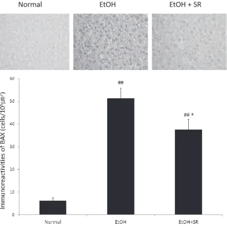 Fig.  3.  Immunohistochemical  staining  of  TNF-α  proteins.  The  increased  level  of  TNF-α  immunoreactivity  was  observed  in  the  EtOH  group