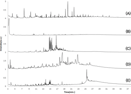 Figure 6. Py/GC/MS chromatograms of reference and painting specimen. (A) Red specimen from western wall, (B)  Dried acrylic emulsion, (C) Dried yellow lacquer, (D) Dried animal glue, (E) Dried Asian lacquer.