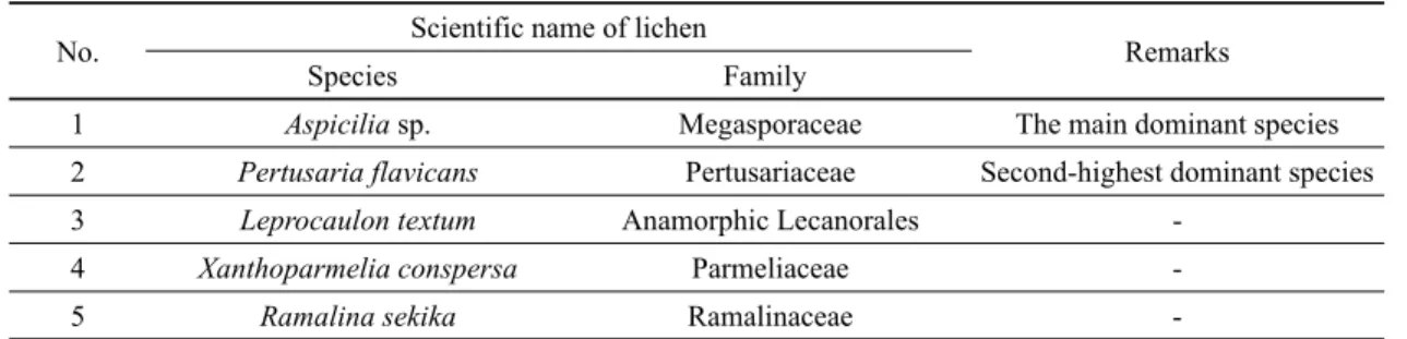 Table 2. Distribution and identification of lichen on flagpole support in Beopjusa temple  No
