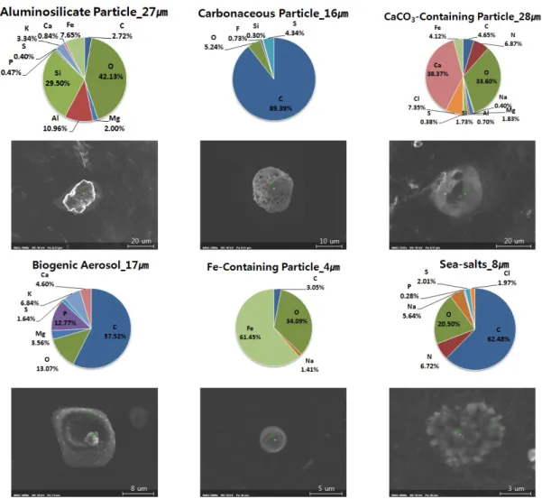 Figure 3. Elemental analysis and particle classification for particulate matter(Unit : %mass).3.2.3