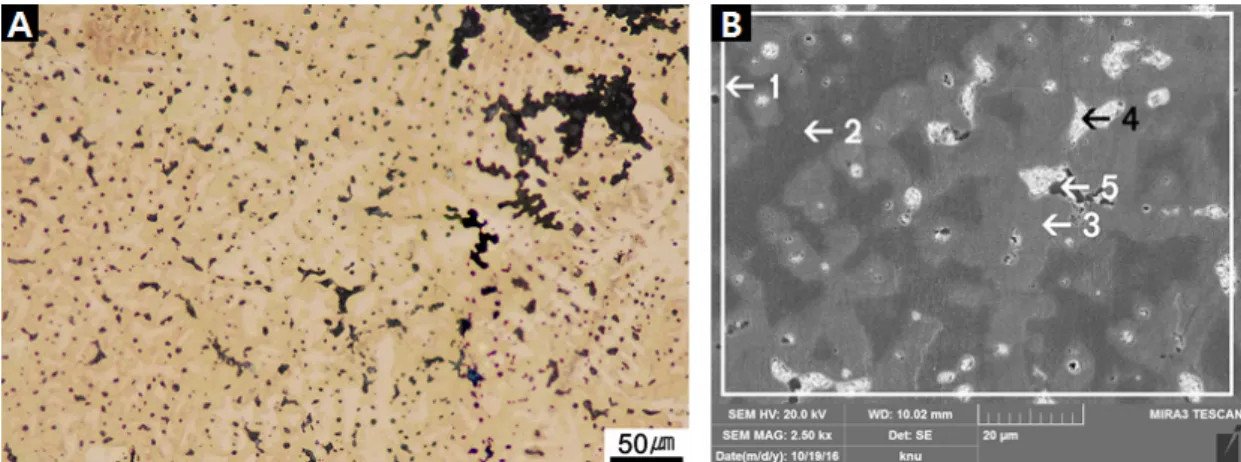 Figure 3. Microstructure of Kim Chan Shik's 'Feeling'. (A) Image of metallurgical microscope, (B) SEM image and  points of EDS analysis.