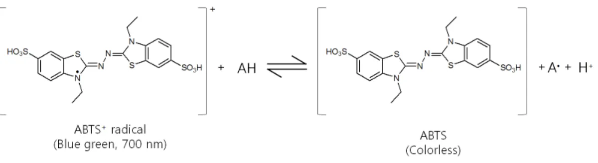 Figure 4. Scavenging of ABTS + radical by an anti-oxidant