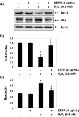 Fig.  7.  Effect  of  EEPR  on  the  expression  of  Bcl-2  and  Bax  in  H 2 O 2 -treated Chang  liver cells