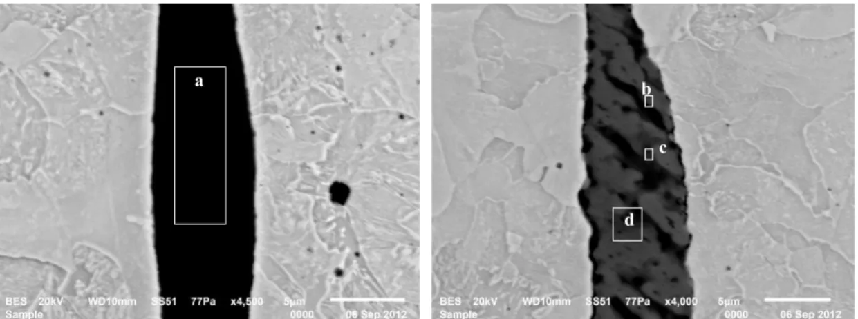 Figure 16. SEM image and points of EDS analysis of sample D.