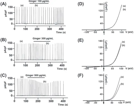 Fig.  4.  Effects  of  ginger  on  overexpressed  transient  receptor  potential  melastatin  7  (TRPM7)  currents  in  human  embryonic  kidney  (HEK)  293  cells and  the  current-voltage  (I-V)  relationship  using  the  whole  cell  patch-clamp  techni