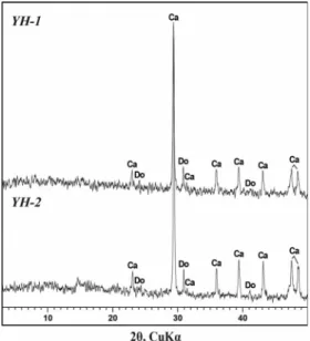 Figure 4. X-ray powder diffraction patterns of joint  materials. YH-1; dark layer, YH-2; ground layer, Ca;  cal-cite, Do; dolomite.