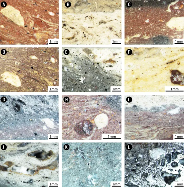 Figure 6. Representative stereoscopic microscope images of analysis samples. (A) SP-1; (B) SP-2; (C) SP-3; (D) SP-4; 