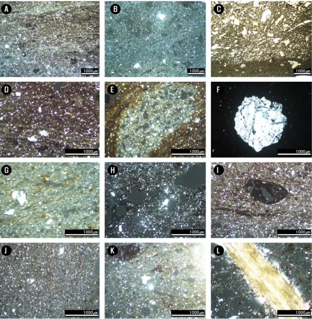 Figure 7. Representative polarizing microscope images of analysis samples. (A) SP-1; (B) SP-2; (C) SP-3; (D) SP-4; 