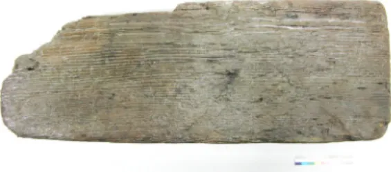 Figure 1. The part of Wan-do wreck.1. 서  론해양에서 출수되는 유물에는 고선박, 목간, 청자, 백자, 철제솥, 청동그릇 등 다양한 유물이 있다