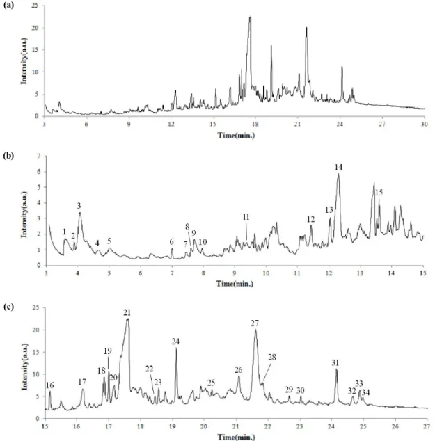 Figure 3. Pyrolysis/GC/MS chromatogram of animal glue sample. (a) full chromatogram, (b) 1st half of the chromatogram,  (c) 2nd half of the chromatogram.