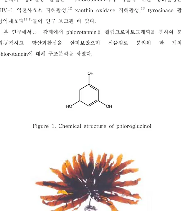Figure  1.  Chemical  structure  of  phloroglucinol