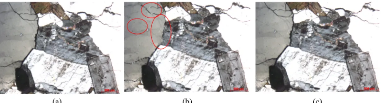 Figure 11. The result of polarizing microscope observation in cyclododecane treatment : (a) before, (b) after treatment, (c) removal.