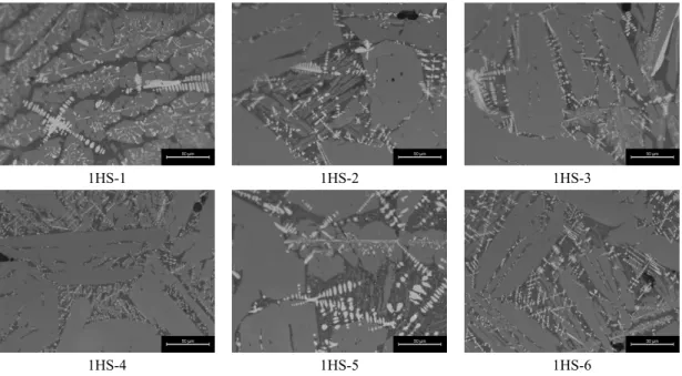 Figure 8. Microstructure of the slag from 1ho site.