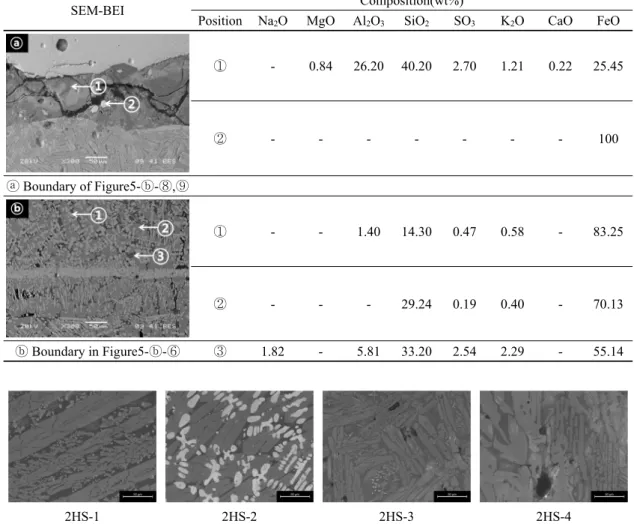 Figure 10. Microstructure of the slag from the 2ho site 