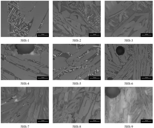 Figure 11. Microstructure of the slag from the 5ho site.