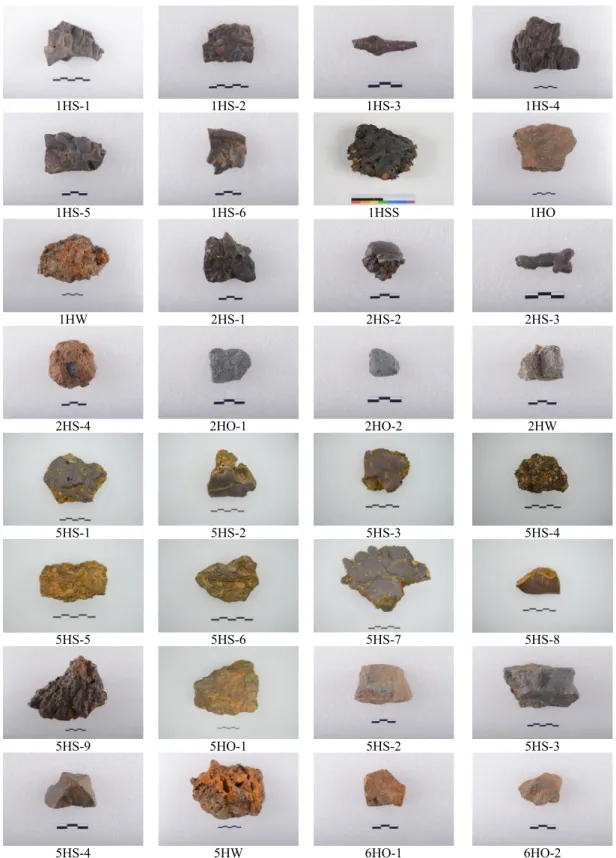 Figure 4. Photograph of the analyzed samples from the Nogye Village site.