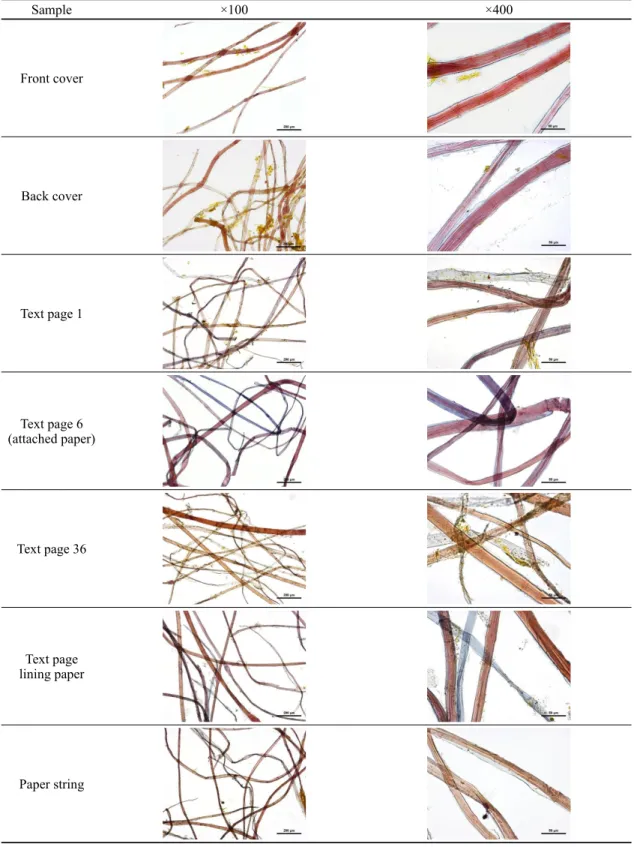 Table 2. Micrographs of Jocheonillgi fiber(dying reaction of C-stain). Sample ×100 ×400 Front cover Back cover Text page 1 Text page 6 (attached paper)  Text page 36 Text page  lining paper Paper string