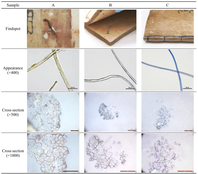 Table 3. Micrographs of Jocheonillgi binding string fiber. Sample A B C Findspot  Appearance (×400) Cross section (×500) Cross section (×1000) 하여  미세  섬유  시료를  채취하여  현미경(Nikon Eclipse  NI-E, Leica DE/DM R)을 이용하여 각각의 외관과 단면을  관찰하였다(Table 3)