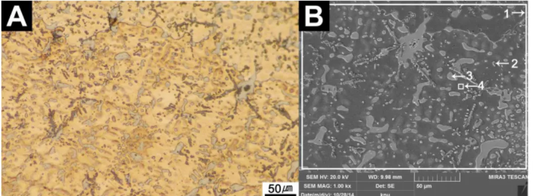 Figure 5. Microstructure of Sangpyeongtongbo(KY-1). (A) Image of metallurgical microscope