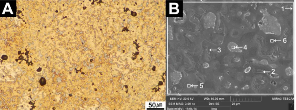 Figure 8. Microstructure of Sangpyeongtongbo(YE-4). (A) Image of metallurgical microscope