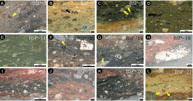 Figure 1. Stereoscopic microscope images of analytical samples from study area. Sample numbers are the same as those of Table 1