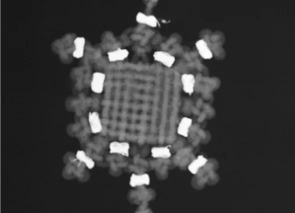 Figure 2. The wrapped gold thread in the form of a ring.