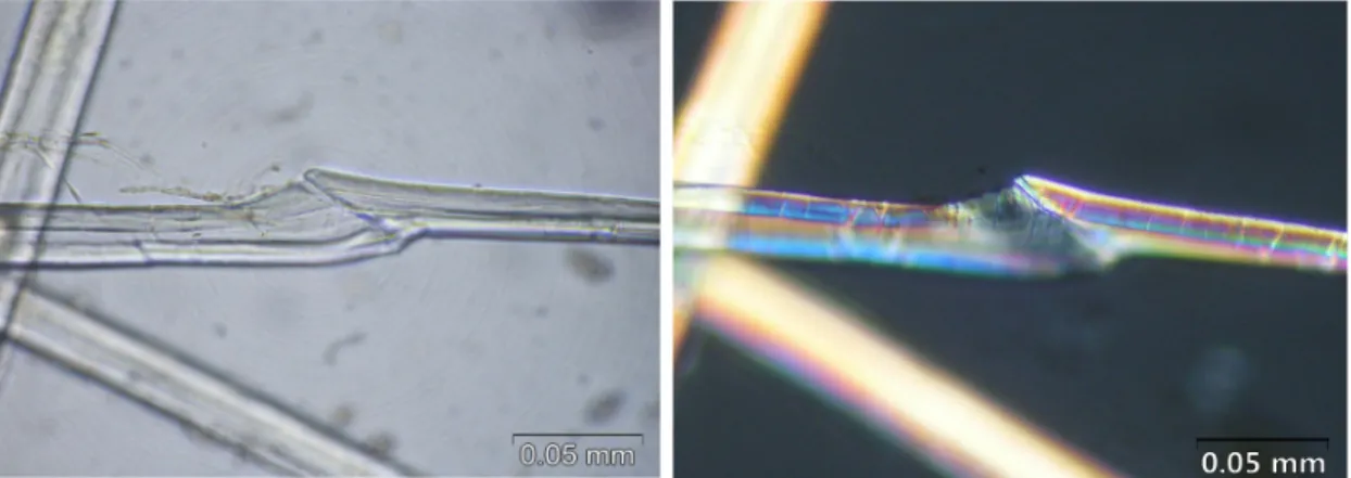 Figure 4. Side of fabric pieces 1. Figure 5. Side of fabric pieces 1 (Polarizing microscope).